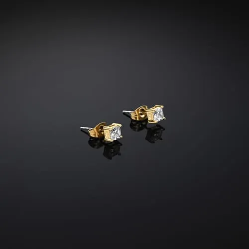 CHIARA FERRAGNI BRAND CLASSIC EARRINGS - J19AVJ16
