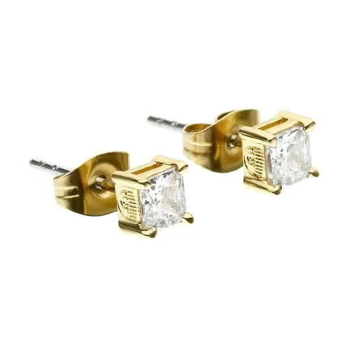 CHIARA FERRAGNI BRAND CLASSIC EARRINGS - J19AVJ16